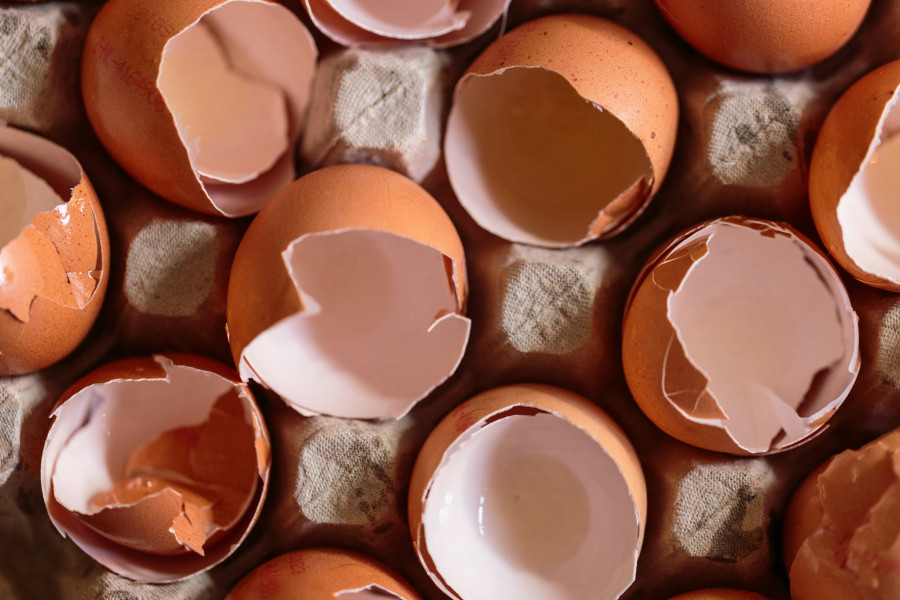 Waste-to-Value: Baking Ceramic with Eggshells