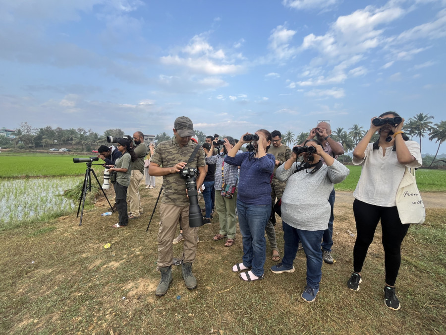 Nature's Symphony: A Bird Watching Adventure