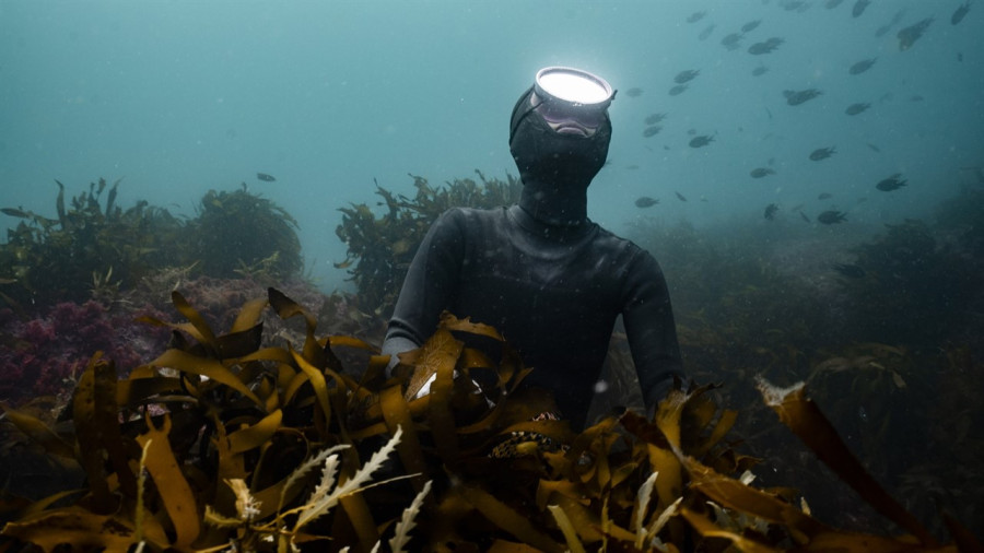 Daughter of the Sea: Sisterhood in the Sea